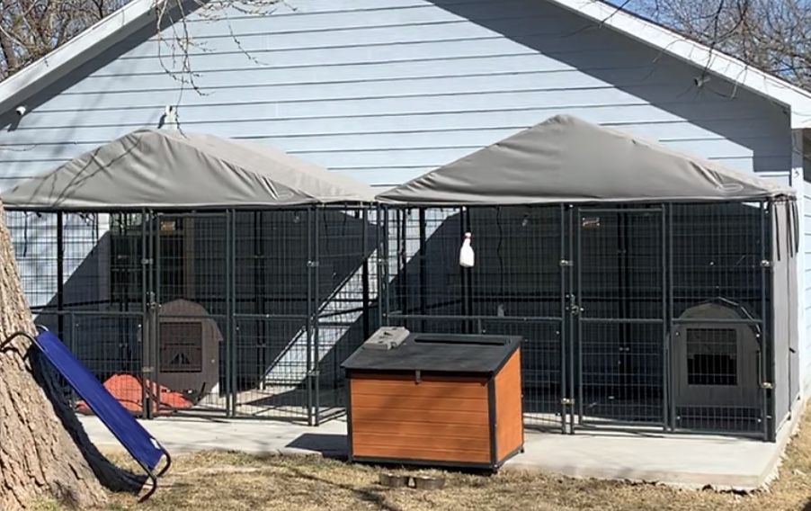 Retriever Dog Kennel 10x10 With Roof