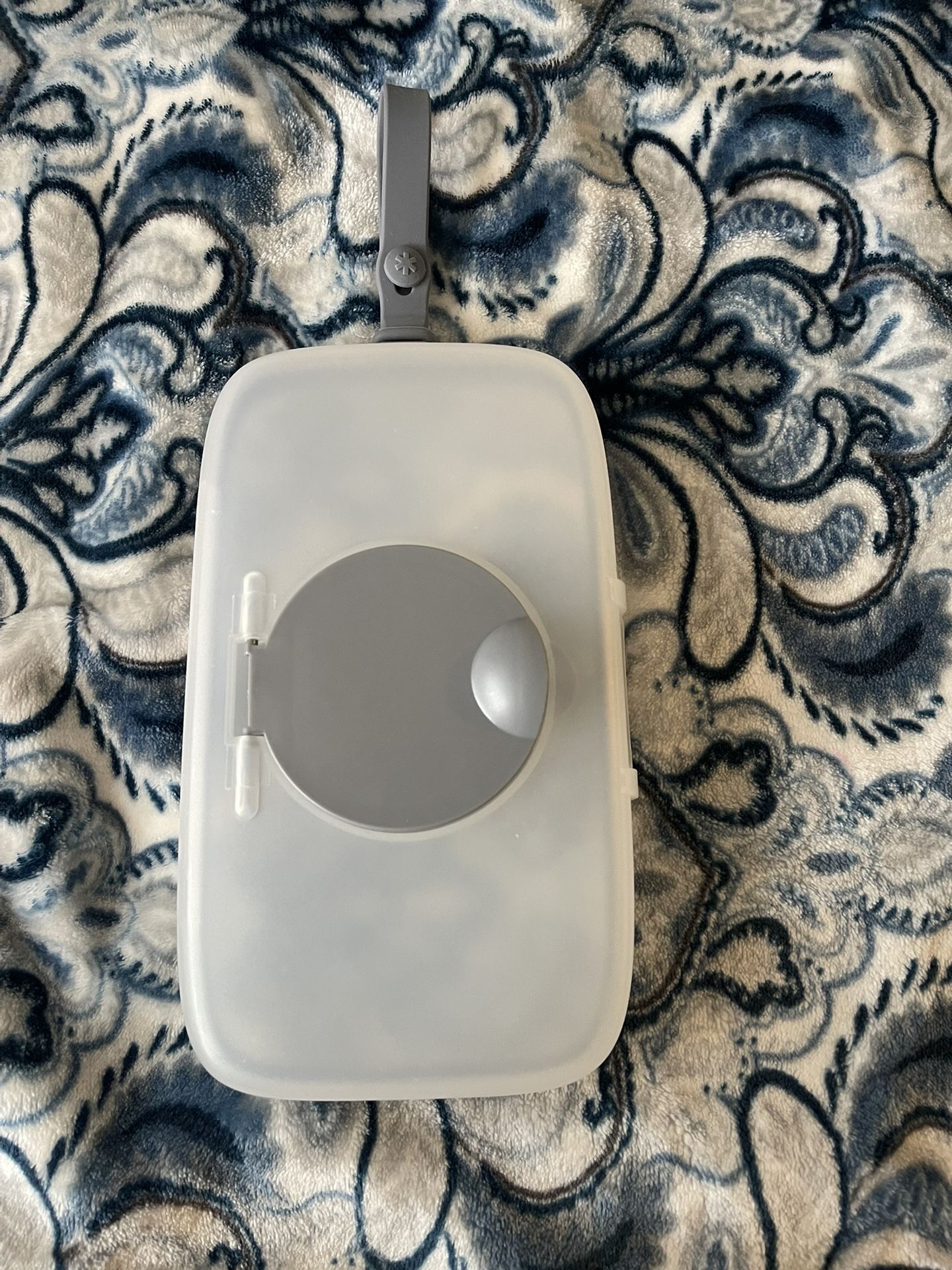 Skip Hop Grab & Go Snug Seal Wipes Case $10