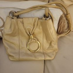 Gold Purse 