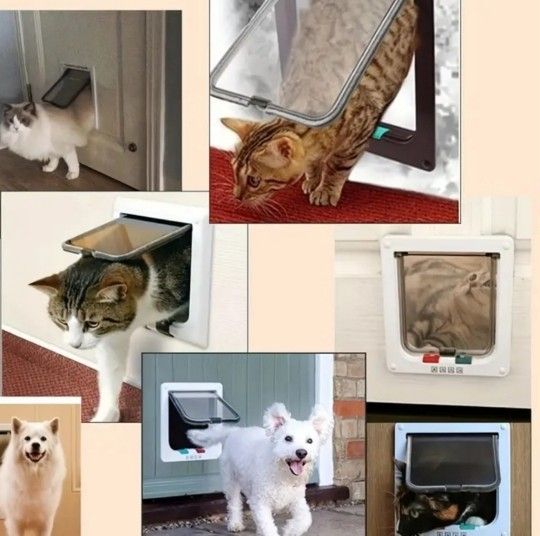 New Weatherproof Pet Door with 4 Way Locking Mechanism