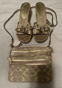New Coach Purse And Shoes