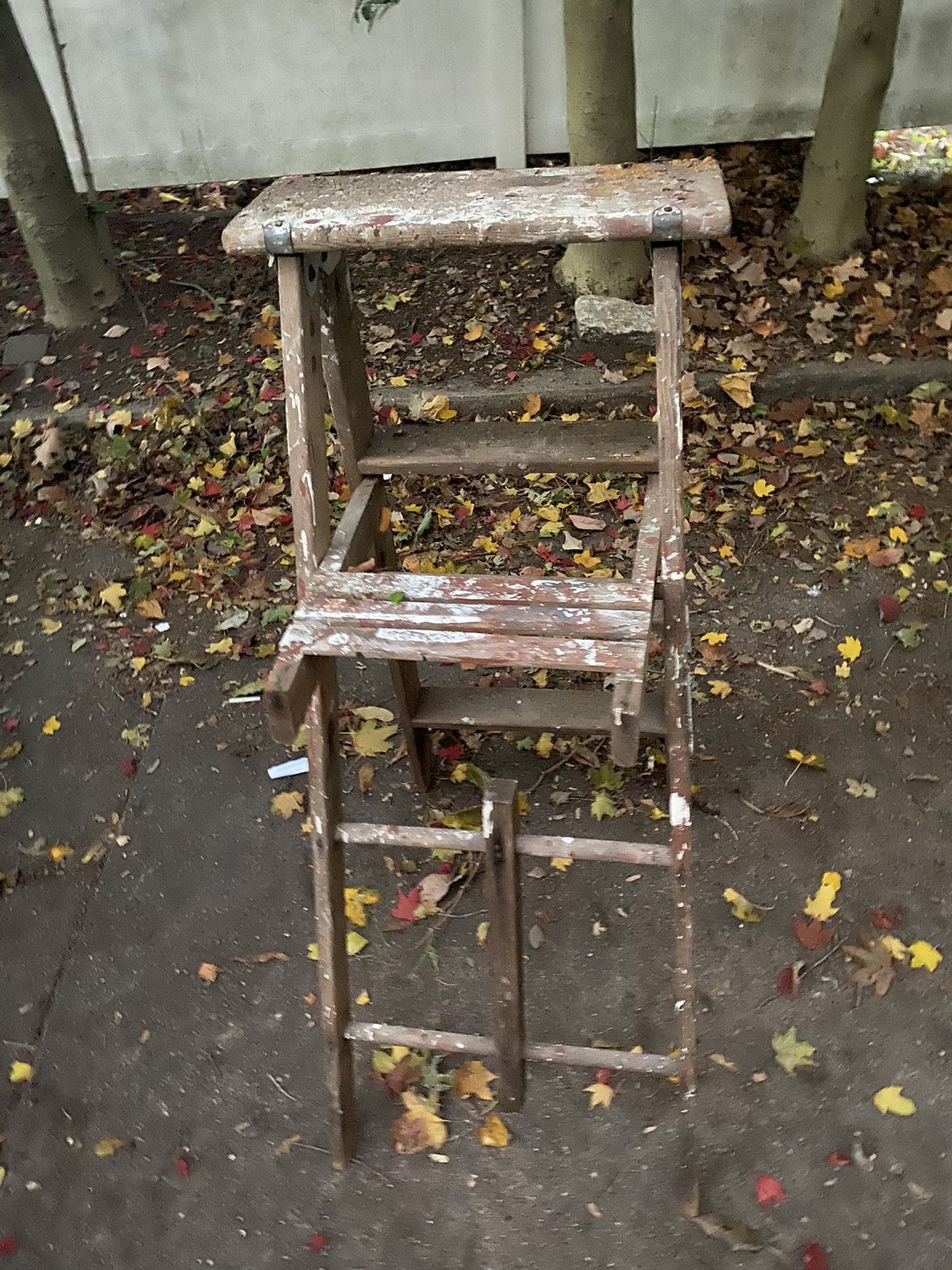 Wooden Ladder