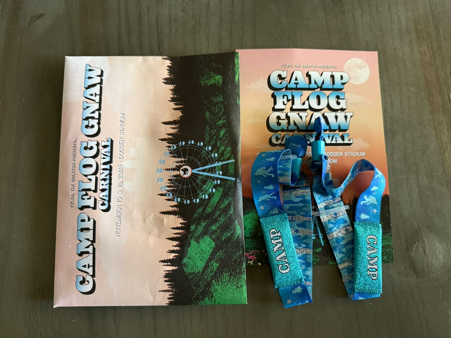 Camp Flog Gnaw 2025 GA Wristband