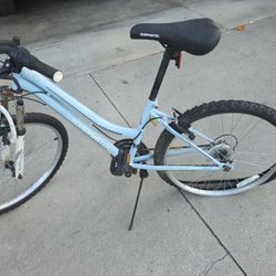 Bike Road master  Needs Tires Low Price 