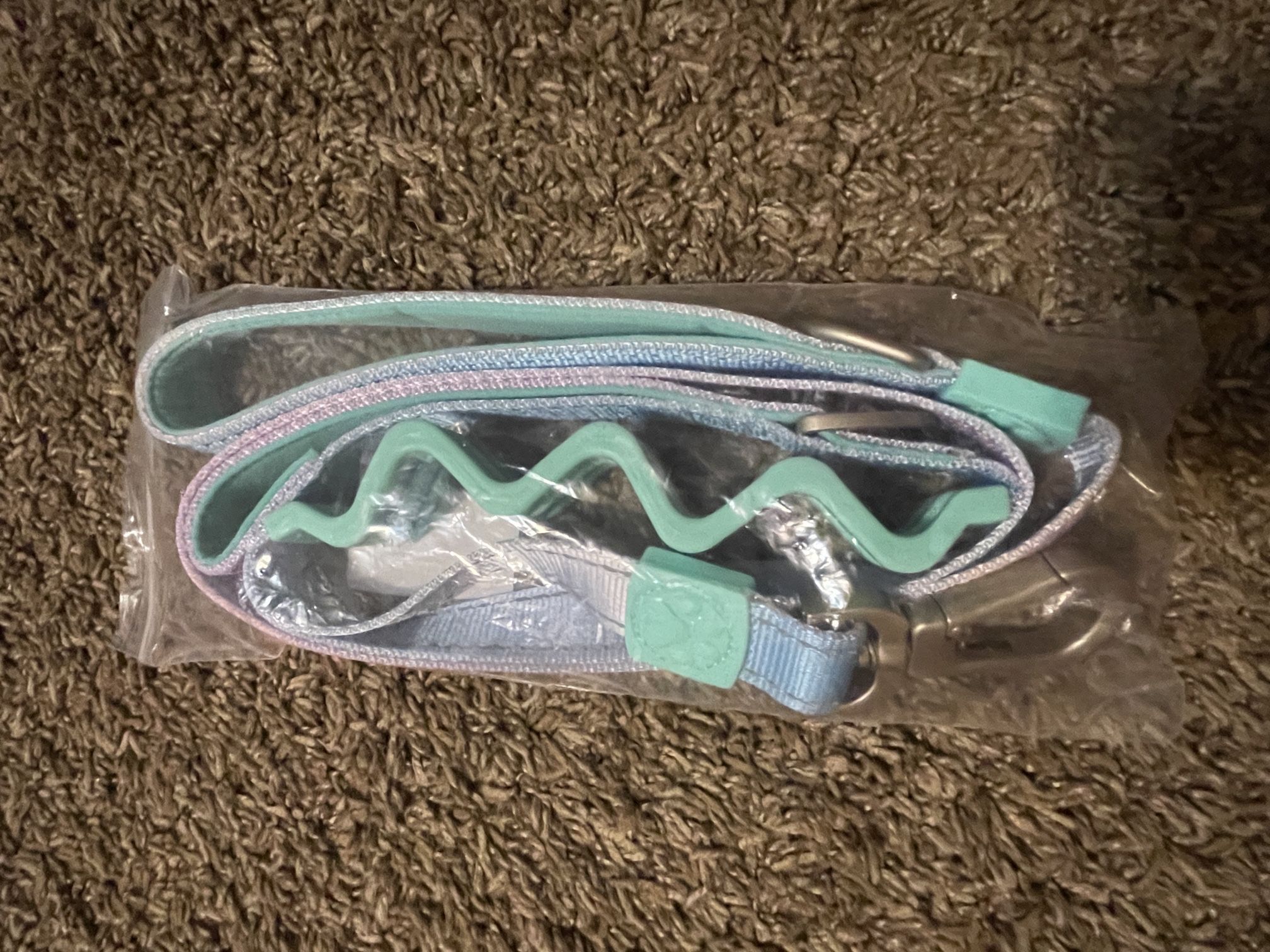 Multi Color Dog Leash