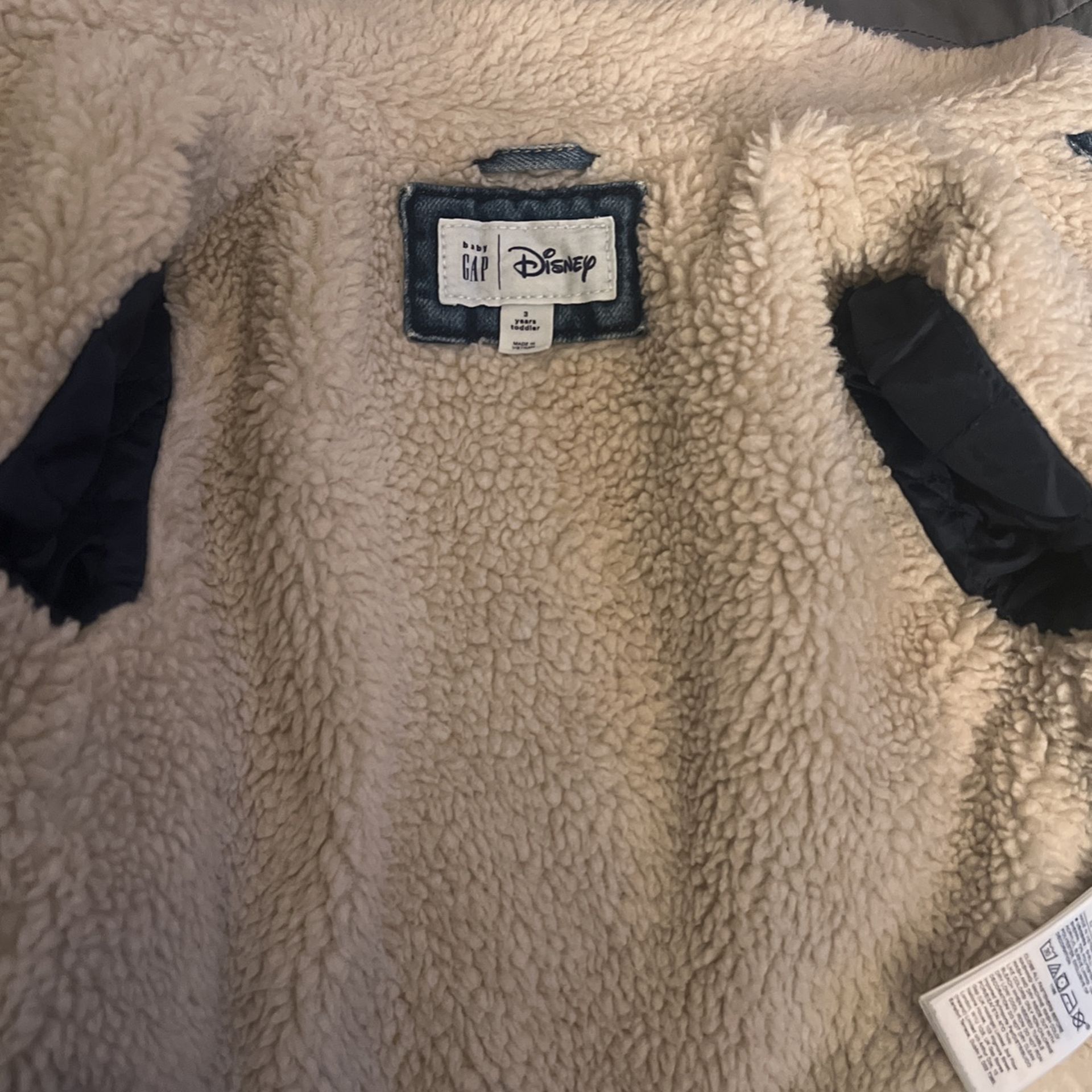 Disney Limited Edition Gap
