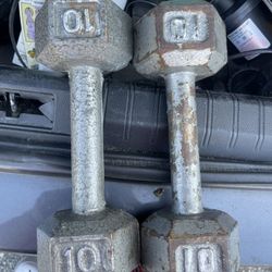 10 Pound Dumbbell Weights 