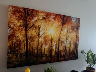Canvas Picture