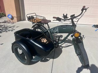 Modbike E-bike with Sidecar