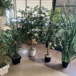 Faux plants 