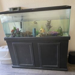 50 Gallon Fish Tank