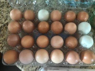 🥚 Farm fresh free range eggs 🥚