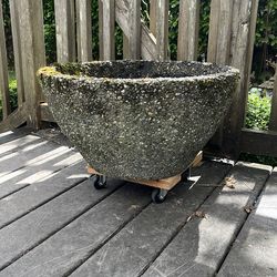 FREE - aggregate planter pot