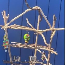 Small Bird Perch / Special Hangout Spot For Your Precious Cockatiel Conure Or Ringneck