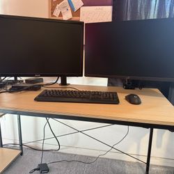 Two Monitors With Two Separate Arm Stands (24.5” 360Hz & 24” 144Hz)