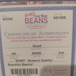 Grunt The Razorback Authenticated & Encapsulated Original Beanie Baby!!! Museum Quality 