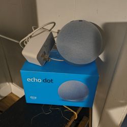 Alexa Echo