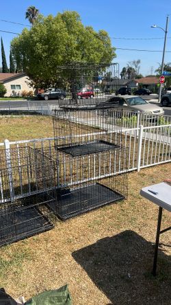 Dog Kennels