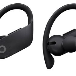 Beats Powerbeats Pro Wireless Earbuds