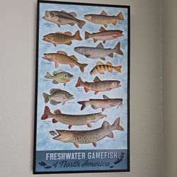 Fish Game Hard Frame