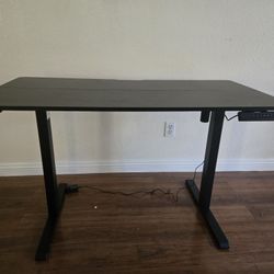 Standing Desk 