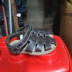 Baby Shoes