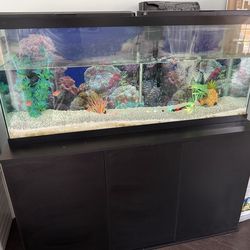 55 Gallon Aquarium and Stand