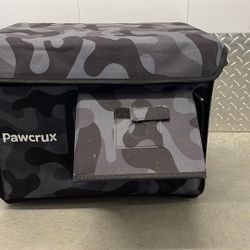 Indoor And Out Door Cat House.