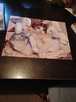 Completed Kitten Jigsaw Puzzle