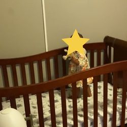Baby Crib & Mattress - $100 OBO