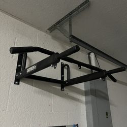 Wall Mounted Pull Up Bar