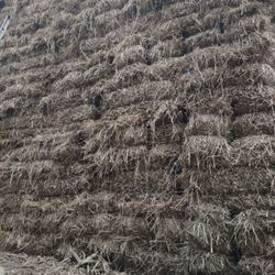 Straw Bales