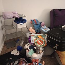 House Purge