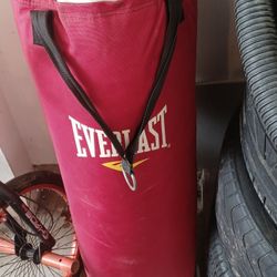 Punching Bag