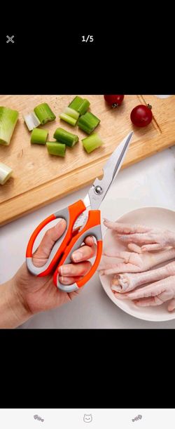 Stainless Steel Kitchen Scissor