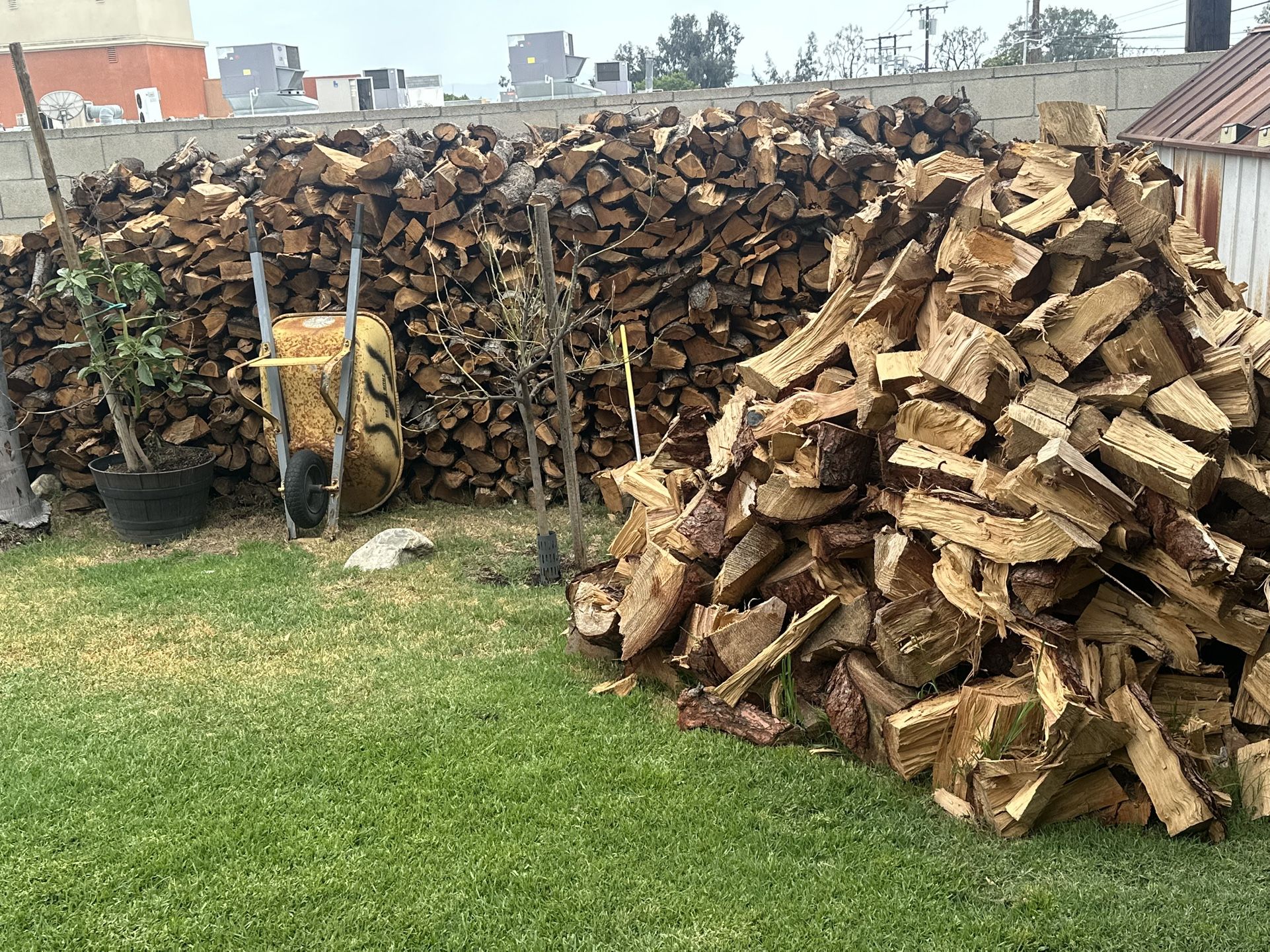 Firewood