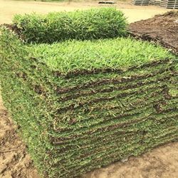 Pallets Of Grass  (sod)