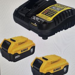 DeWalt 20V MAX Battery Charging Kit, Includes 2 Batteries, 5ah, DCB205-2C 