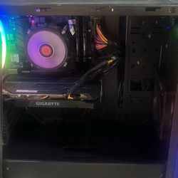 Rose Will (PC)