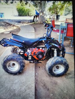 Mini quad (new 224 predator non-hemi)600$firm