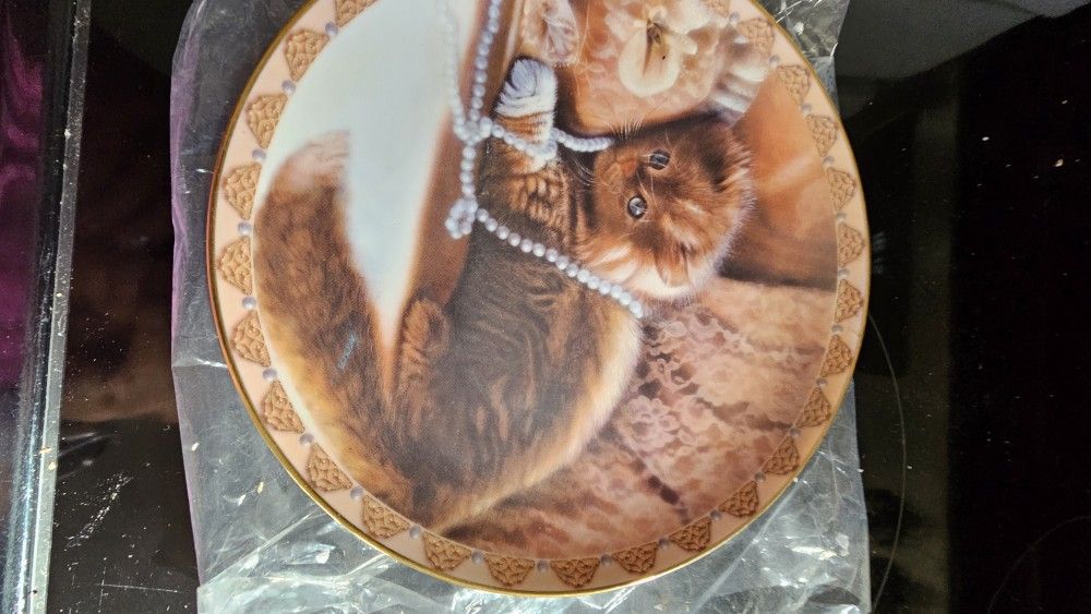 Cat Plate Collection