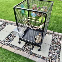 Bird Cage With Accessories 