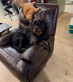 Free recliner