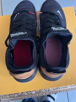 Nike LeBron