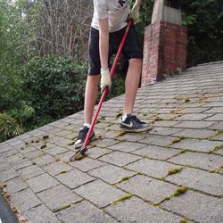 Roof Cleaning 