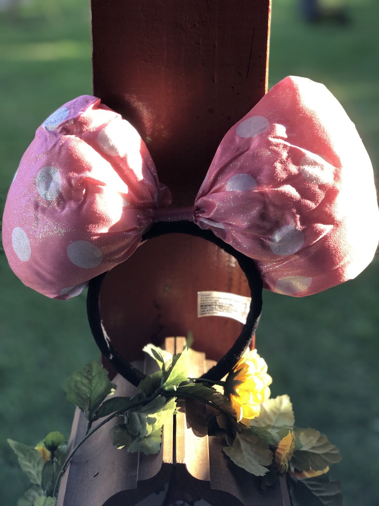 Minnie Mouse Disney Ears