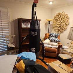 Everlast Boxing Bag With Stand And Chin Up Bar And Weights