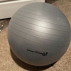 Exercise Ball