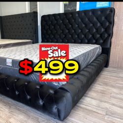 Queen Black Euro Plain With Ortho Matres!!