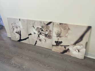 3-piece Wall Decor